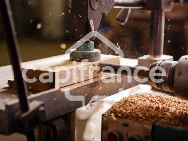 A vendre Saint Louis (97421) Fonds de commerce menuiserie - Murs Commerciaux 740 m² sur parcelle de 1212 m²