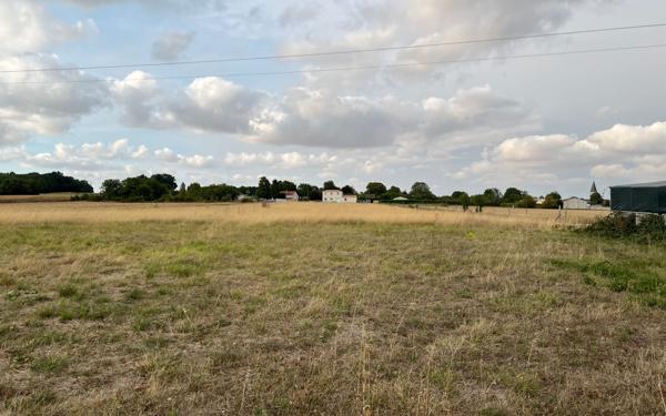 Terrain à vendre    Mazeray
