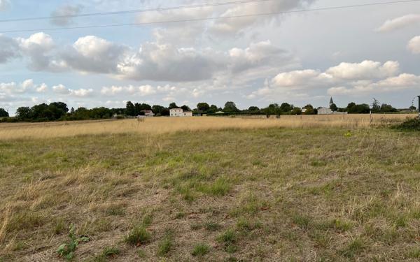 Terrain à vendre    Mazeray