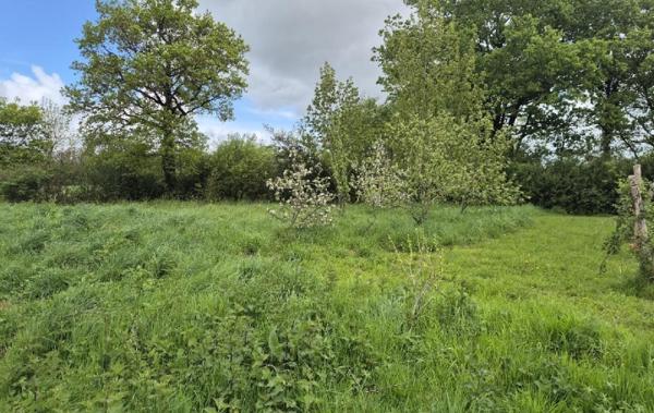 Vente Terrain (SVG Maison) Grosbreuil   