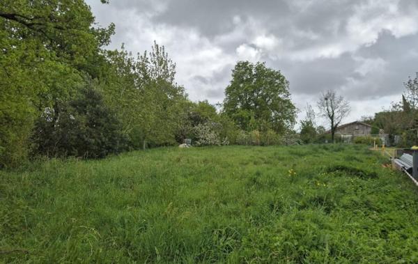 Vente Terrain (SVG Maison) Grosbreuil   