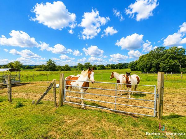 Corps de ferme avec 2 hectares secteur Lassay-les-Châteaux