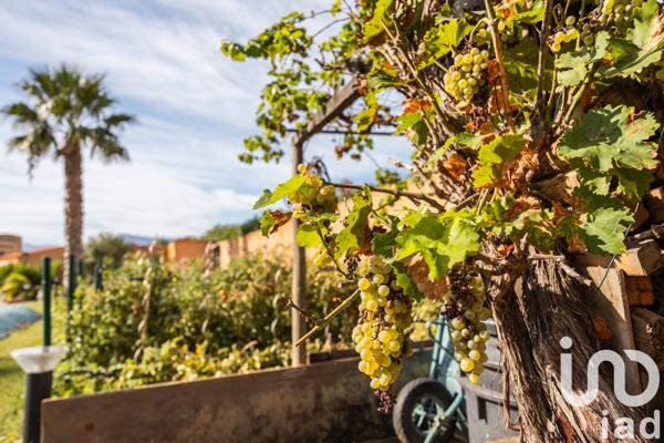 Maison à vendre 7 pièces 260 m² Villeneuve-de-la-Raho