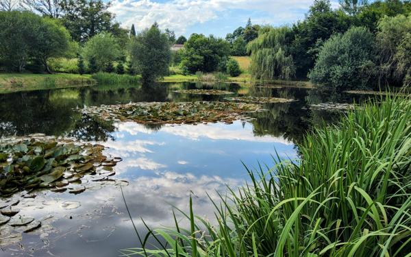 Maison à vendre    4 pièces • 106 m2 Saint-Denis-des-Murs