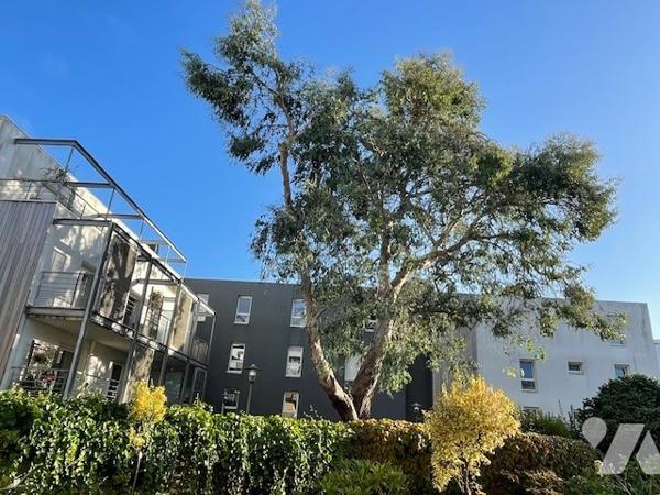 Copropriété récente et haute gamme , un t4 lumineux 3 chambres,  grande terrasse et garage.