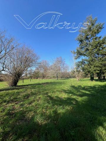 Terrain plat constructible arboré 2000 m2 secteur Bannalec