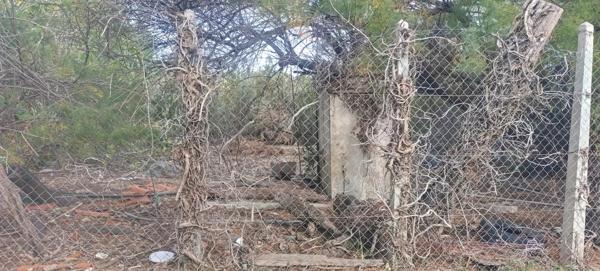 Immobilier La Palme (11480) – Terrain commercial 252m2 – 36 900 €