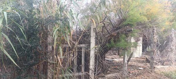 Immobilier La Palme (11480) – Terrain commercial 252m2 – 36 900 €