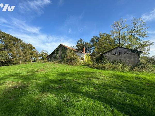 Maison à rénover sur 5000m² de terrain