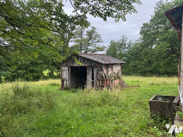 Maison à rénover sur 5000m² de terrain