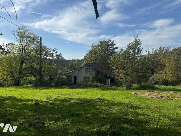 Maison à rénover sur 5000m² de terrain