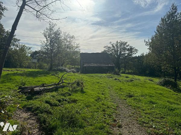 Maison à rénover sur 5000m² de terrain