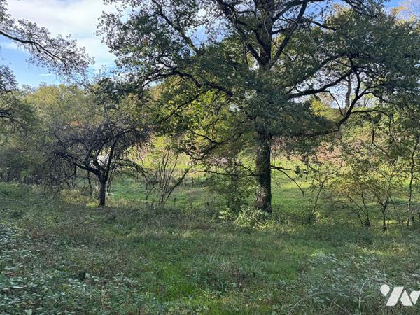 Maison à rénover sur 5000m² de terrain