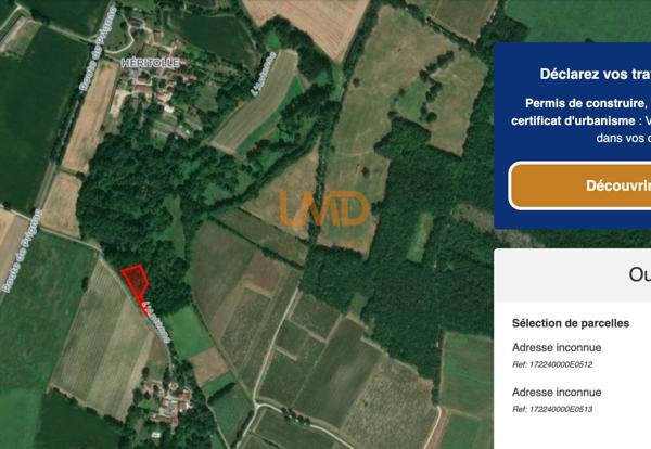 Bois, taillis – 6 361 m² – Matha