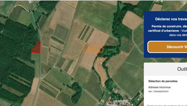 Bois, taillis – 6 361 m² – Matha