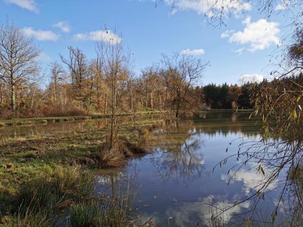 Terrain Etang Dingé 01 ha 14 a