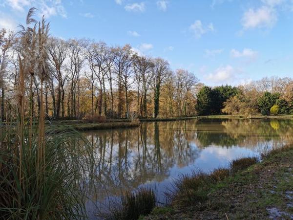 Terrain Etang Dingé 01 ha 14 a