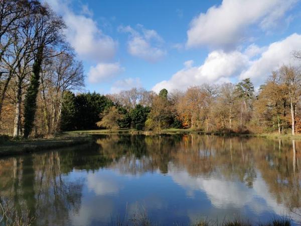 Terrain Etang Dingé 01 ha 14 a