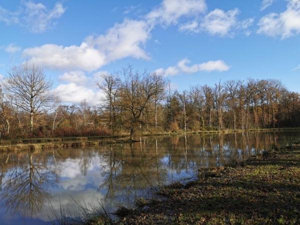 Terrain Etang Dingé 01 ha 14 a