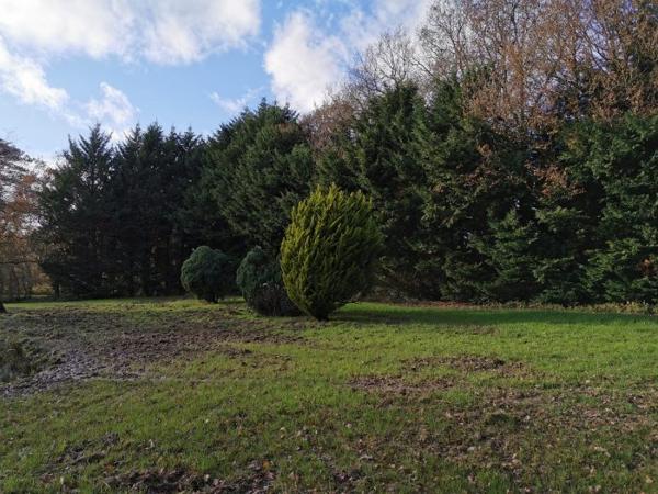 Terrain Etang Dingé 01 ha 14 a