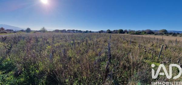 Terrain à vendre 1 930 m² Salses-le-Château