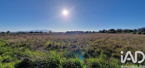 Terrain à vendre 1 930 m² Salses-le-Château