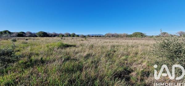 Terrain à vendre 1 930 m² Salses-le-Château