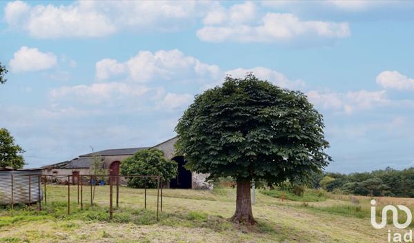 Longère 5 pièces de 260 m² à Mauges-sur-Loire (49410)