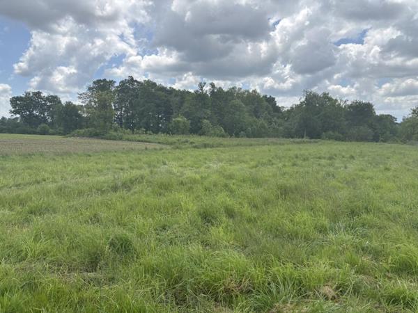 Terrain à vendre |  Soumoulou |  634 m²