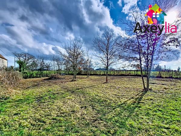 Chauffailles (71170) À VENDRE- SECTEUR CHAUFFAILLES - MAISON 12 PIÈCES AVEC TERRAIN