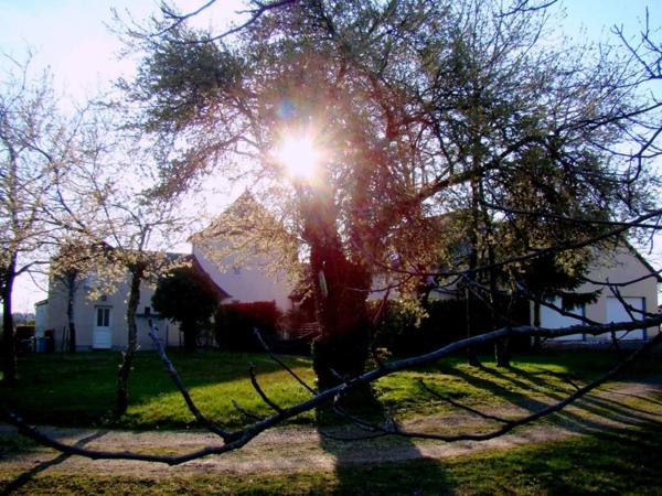 Dpt Nièvre (58), COULANGES les NEVERS belle propriété atypique sans vis à vis de 18 pièces 406m² habitables