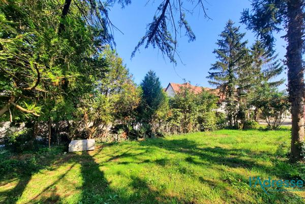 Maison Ingersheim 260 m2