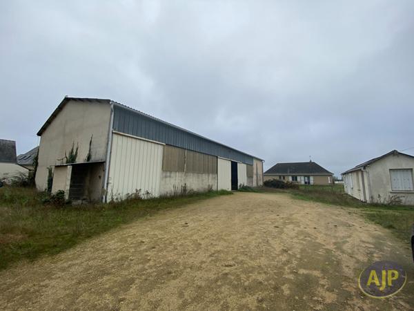 Vente immeuble Allonnes : 316 680 € - AJP Immobilier Angers