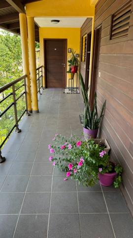 Splendide coup de coeur pour ce T2 vue mer à Montjoly