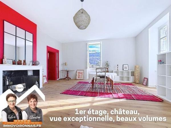 Rare : Appartement de charme dans ancien château avec parc arboré, vue sur la Sure !