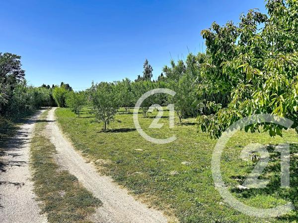 Maison à vendre  5 pièces - 183 m 2   ELNE  - 66