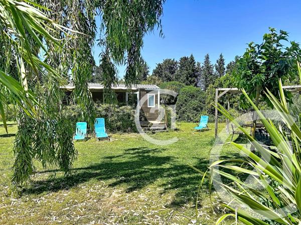 Maison à vendre  5 pièces - 183 m 2   ELNE  - 66