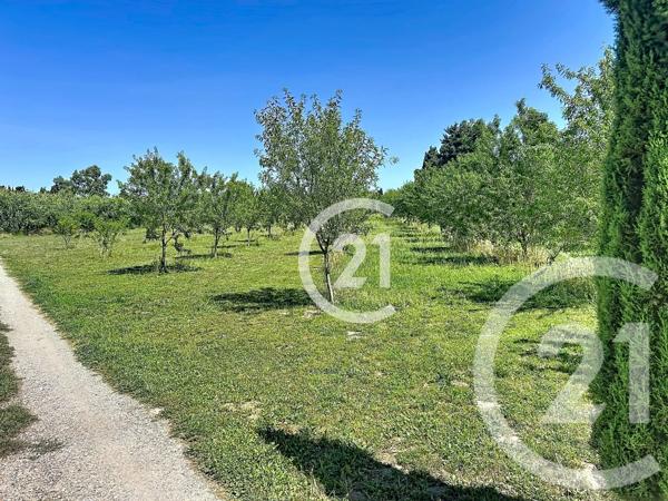 Maison à vendre  5 pièces - 183 m 2   ELNE  - 66