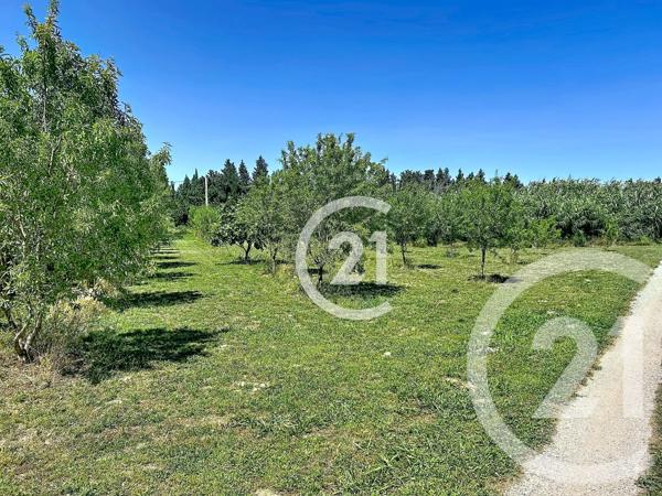 Maison à vendre  5 pièces - 183 m 2   ELNE  - 66