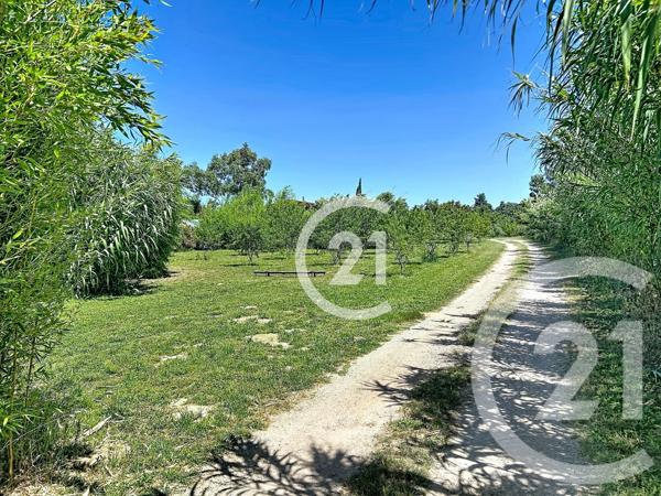 Maison à vendre  5 pièces - 183 m 2   ELNE  - 66