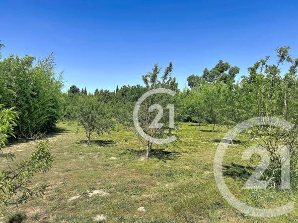 Maison à vendre  5 pièces - 183 m 2   ELNE  - 66
