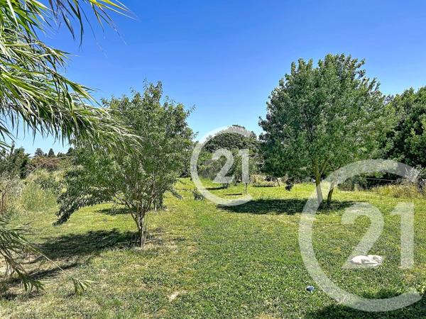 Maison à vendre  5 pièces - 183 m 2   ELNE  - 66