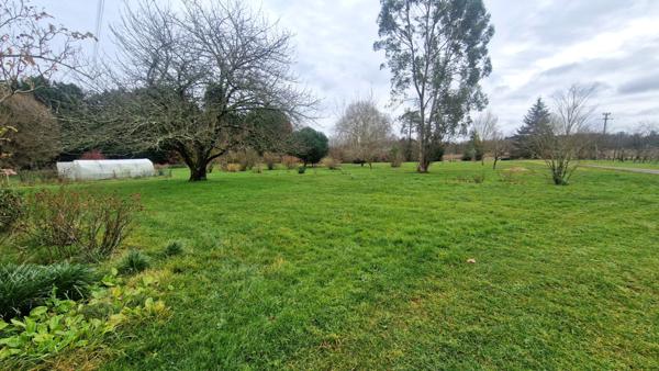 Belle maison de Maitre  proche Mareuil avec piscine et dependances