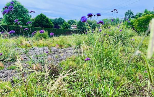 Vente Terrain Constructible Bidart