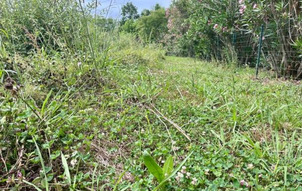 Vente Terrain Constructible Bidart