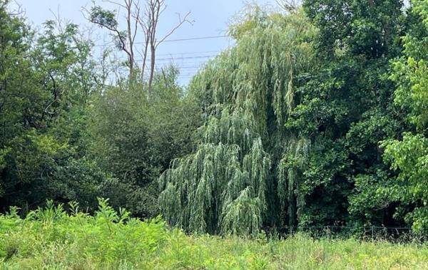 Vente Terrain Constructible Bidart