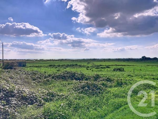 Maison à vendre  5 pièces - 134 m2 PORT DES BARQUES - 17