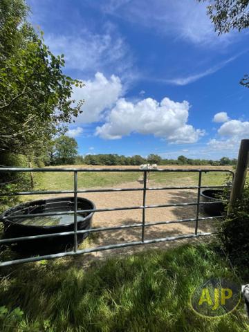 Vente maison Chateauneuf : 470 000 € - AJP Immobilier Challans
