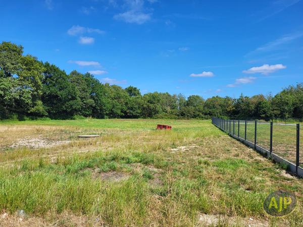 Vente maison Chateauneuf : 470 000 € - AJP Immobilier Challans