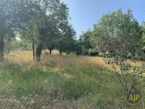 Vente terrain Lege Cap Ferret : 343 000 € - AJP Immobilier Lège-Cap-Ferret